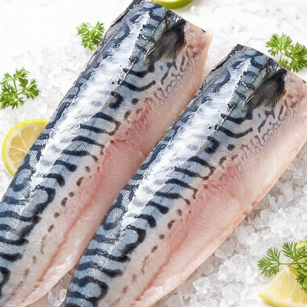 Norwegian Mackerel Fillets Thick Cut
